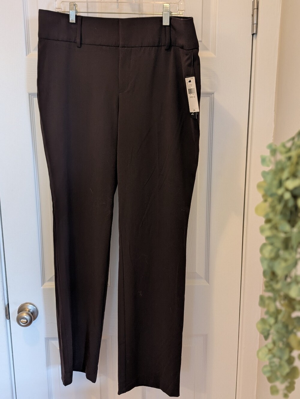 Classic Career Pants Brown Stretch Dress Slacks Straight Leg NWT ALYX Size 12